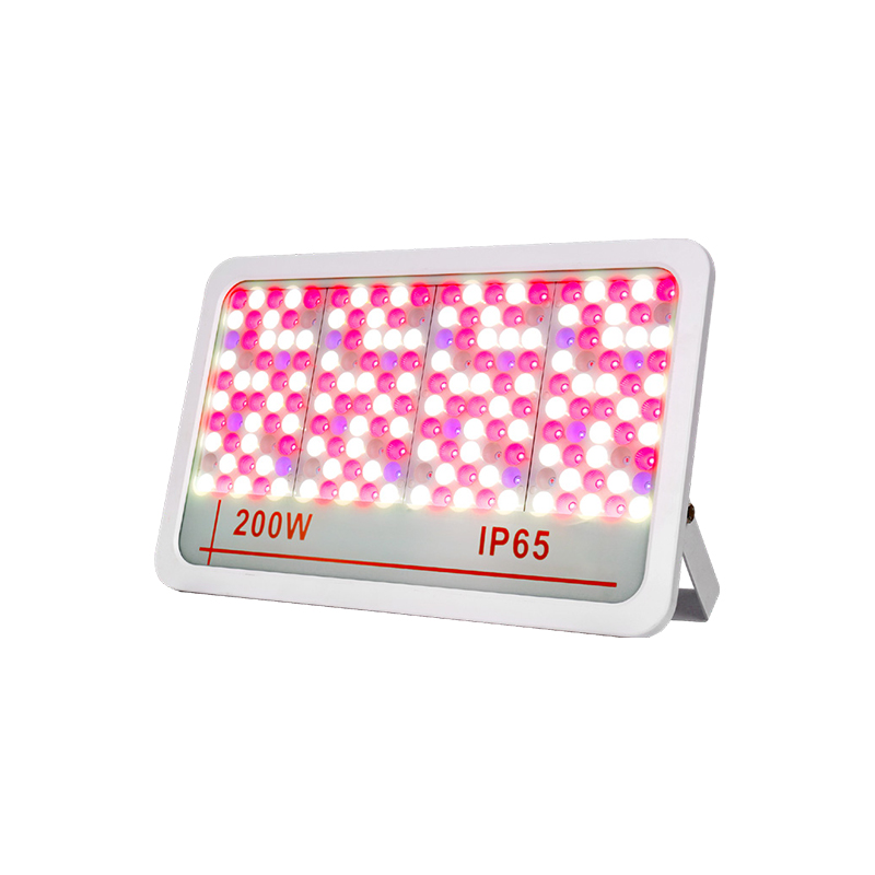 Lumière inondable à LED