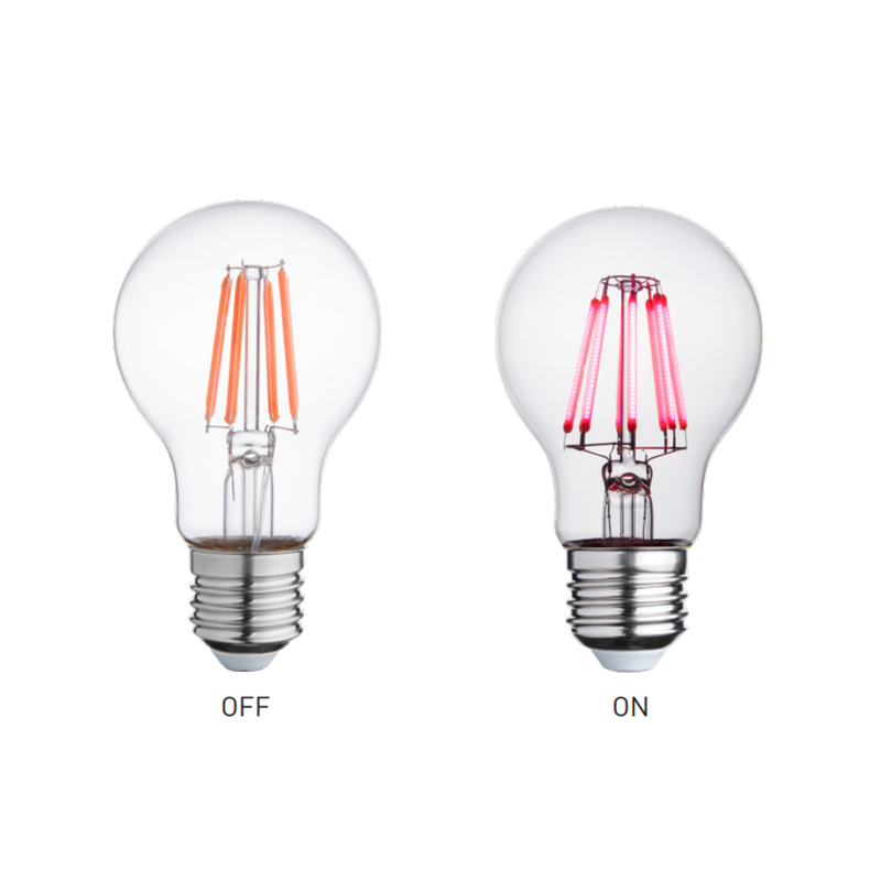 Ampoule de filament LED Ampoule de filament LED