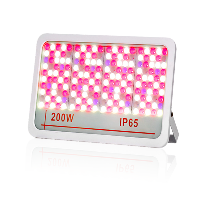Lumière inondable à LED